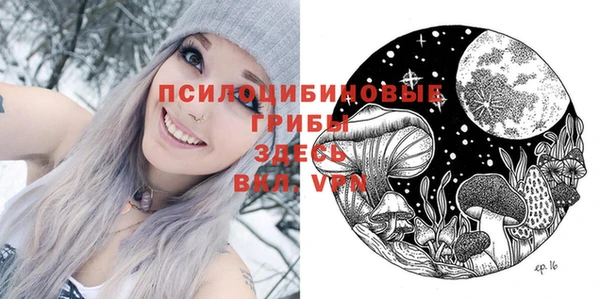 СК Покровск