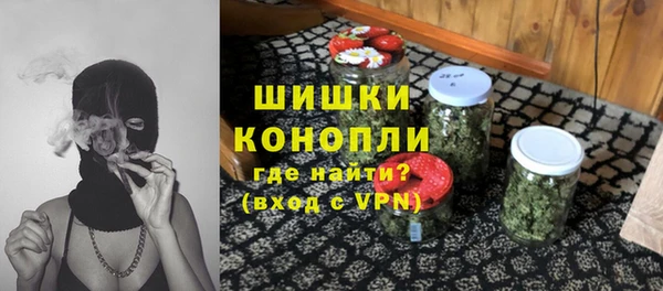 спиды Богородицк