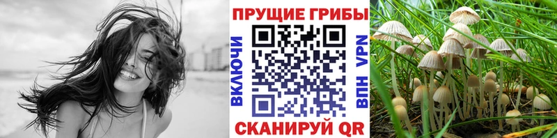Галлюциногенные грибы Psilocybe  сколько стоит  мориарти наркотические препараты  Верхоянск 